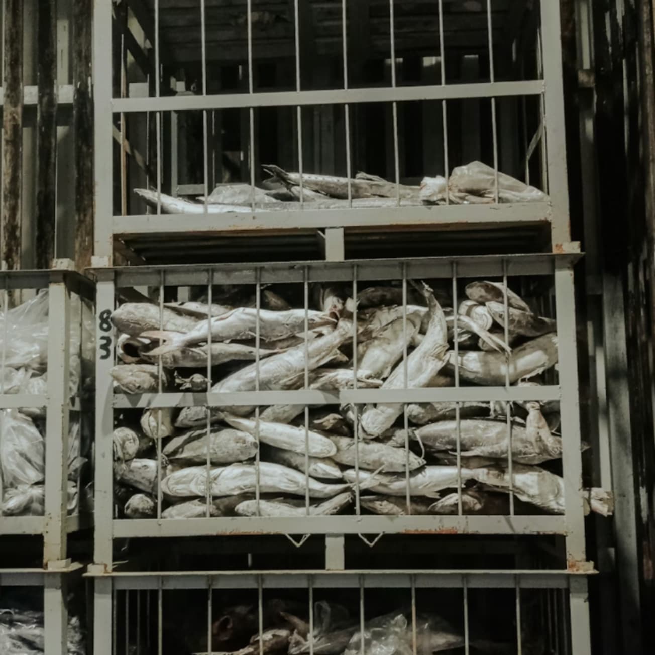 Magazyny branży spożywczej i przemysłowej